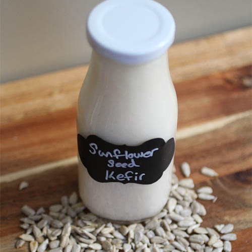 Sunflower Seed Kefir