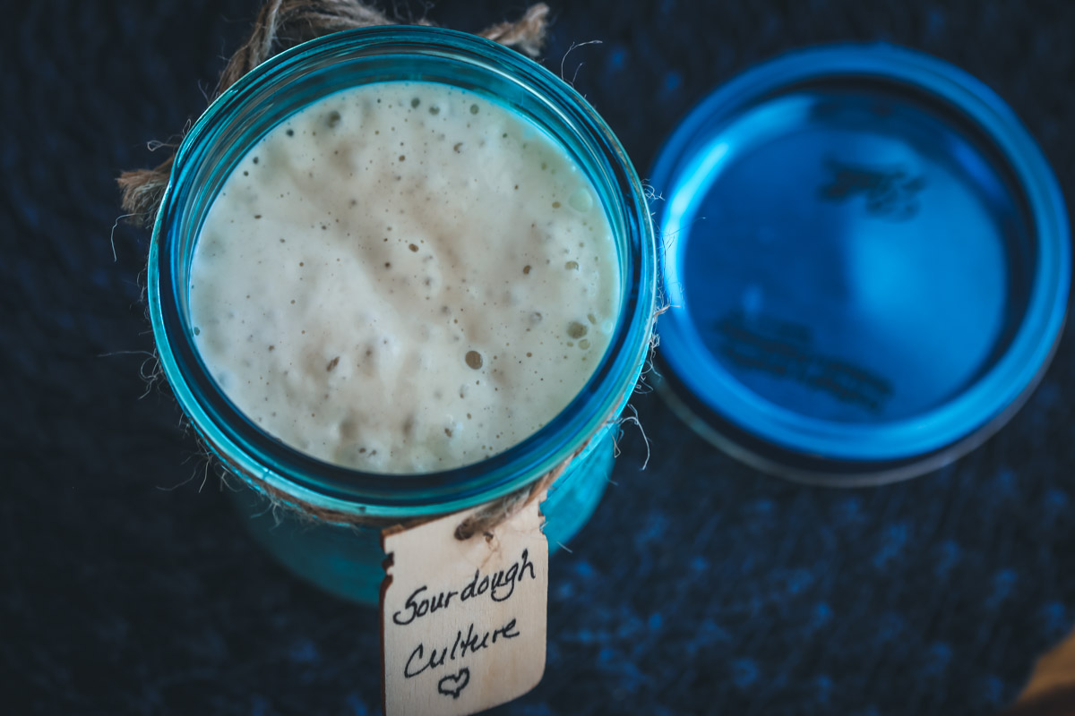 sourdough starter 3-2