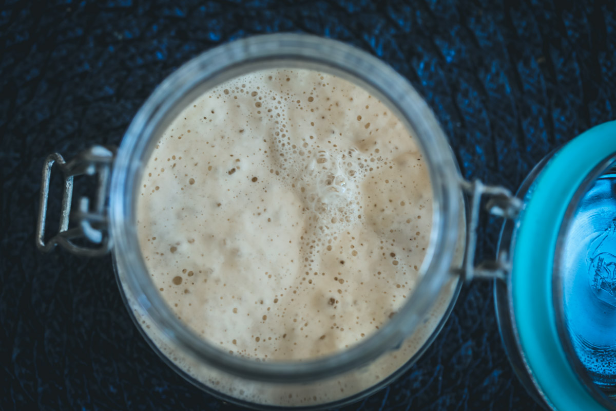 sourdough starter 6-2