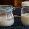 Donna's Live Sourdough Culture - Image 4