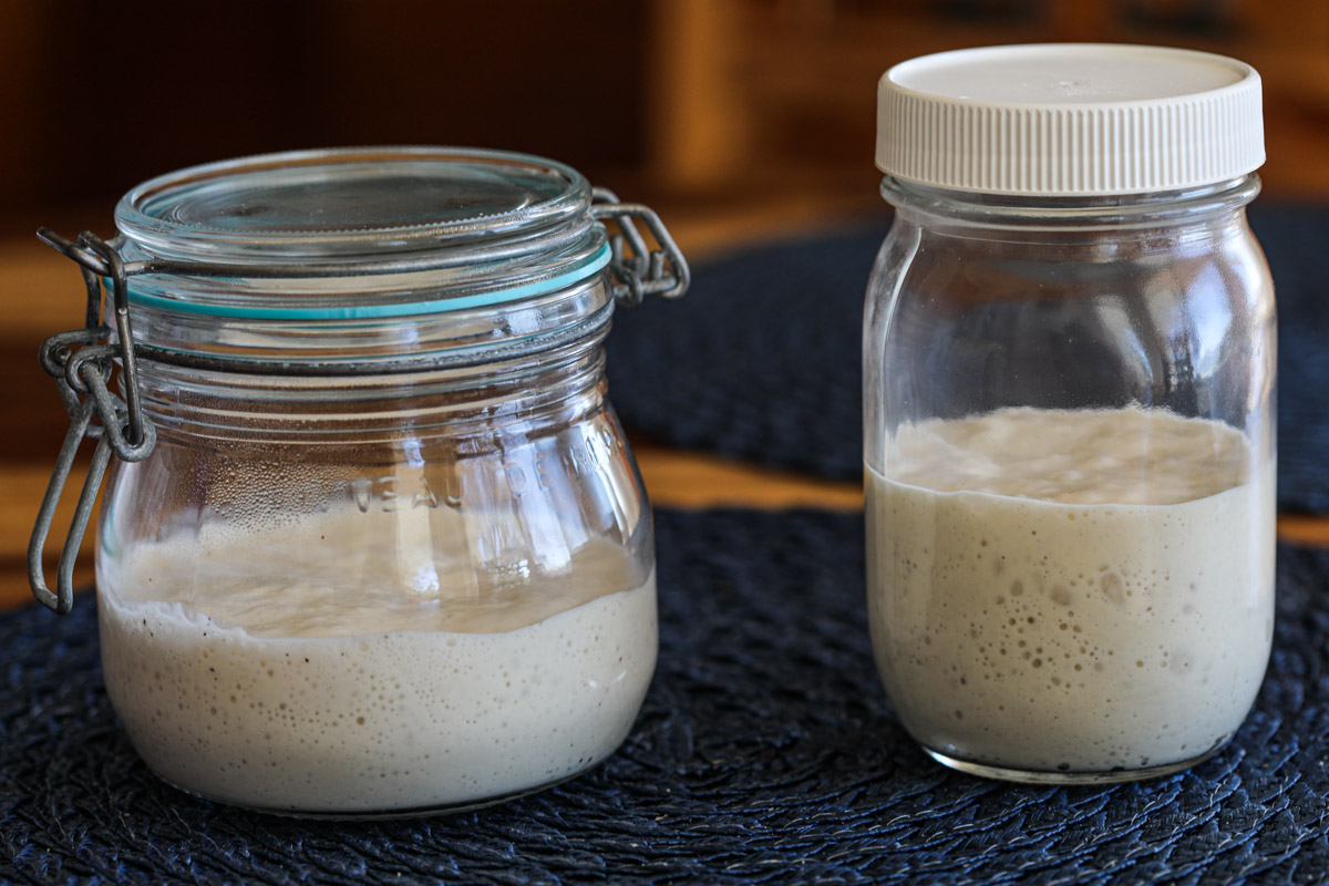 sourdough starter 7-2