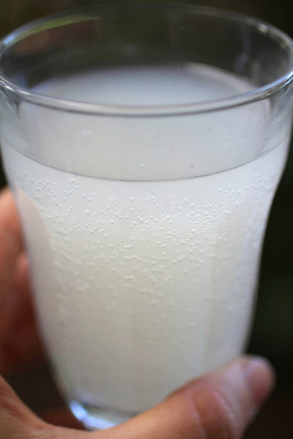 Coconut Water Kefir Cultured Food Life