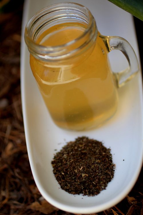 White Tea Kombucha Cultured Food Life