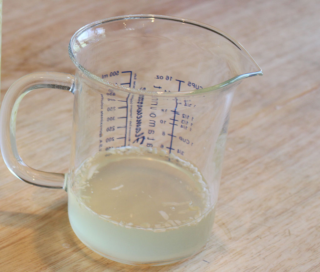brine cup brine cup
