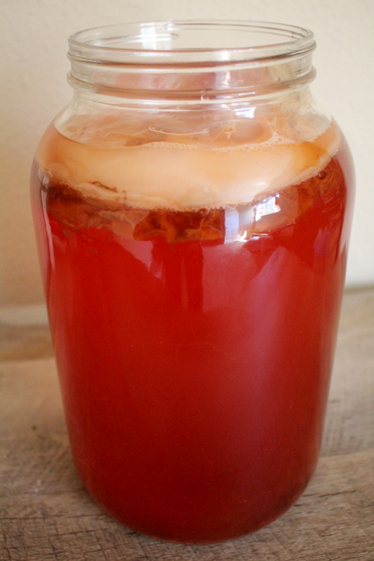 Rooibos Kombucha - Cultured Food Life