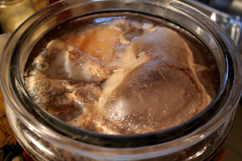 Scoby Monster Scoby Monster
