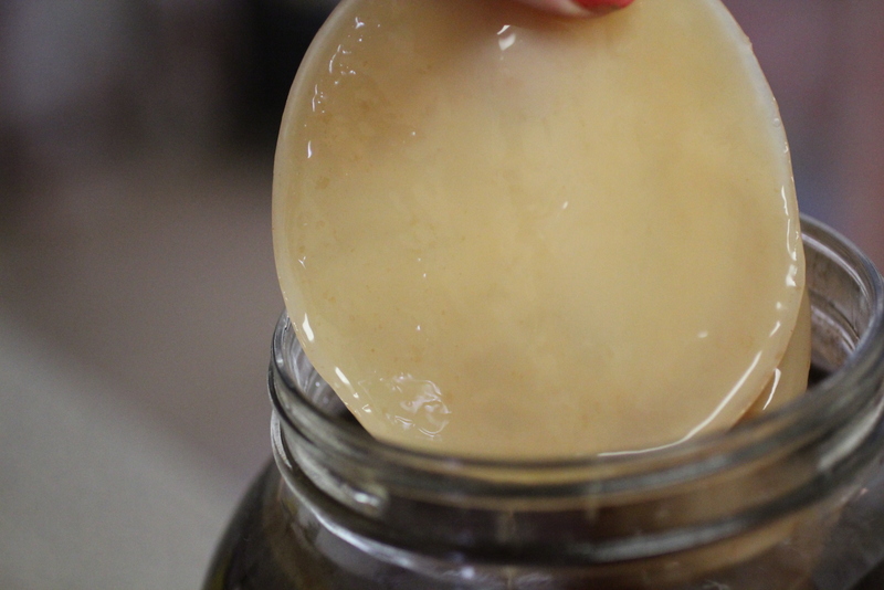 Growing A Scoby: How To Grow A Scoby - The Edgy Veg