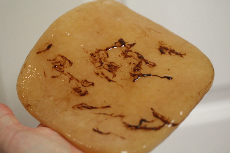 Scoby Yeast Strings