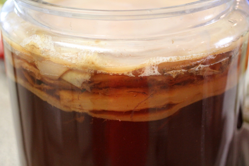Triple Scoby Triple Scoby