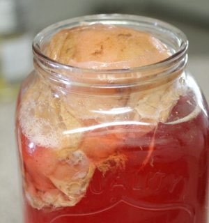 Climbing Scoby Climbing Scoby