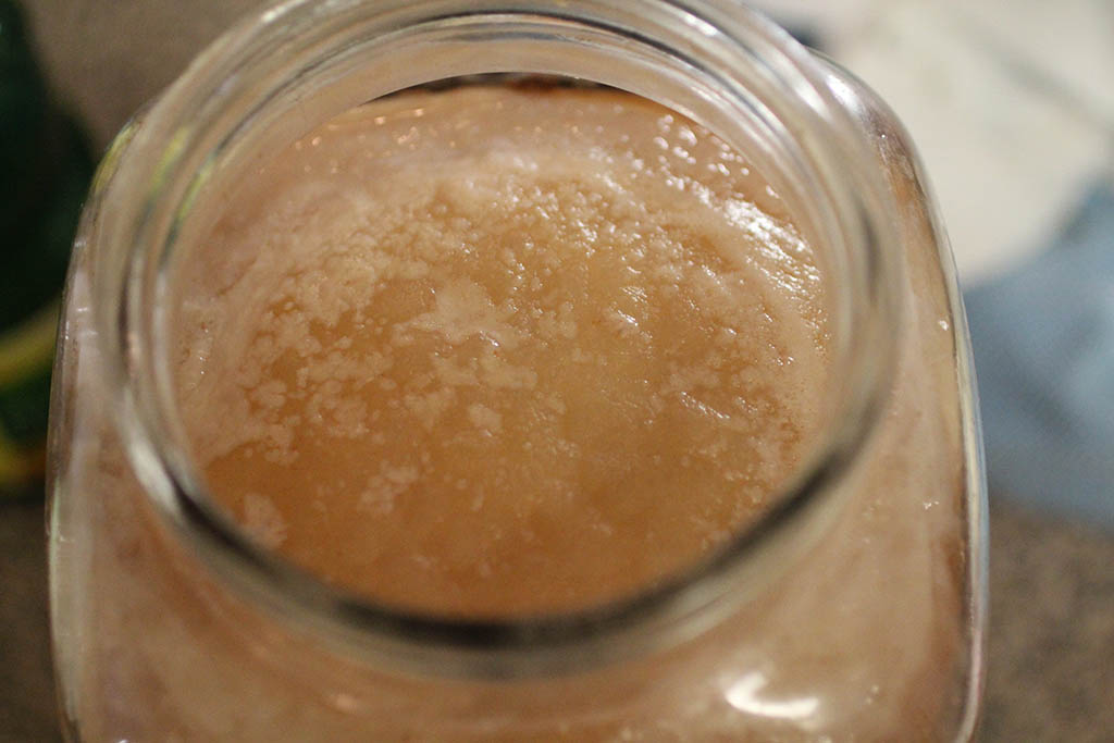 Scoby white spots copy Scoby white spots copy