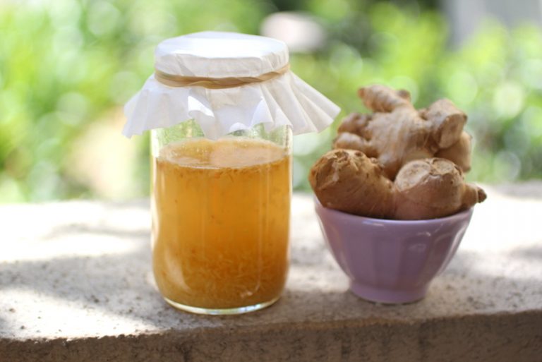 Ginger Bug Cultured Food Life