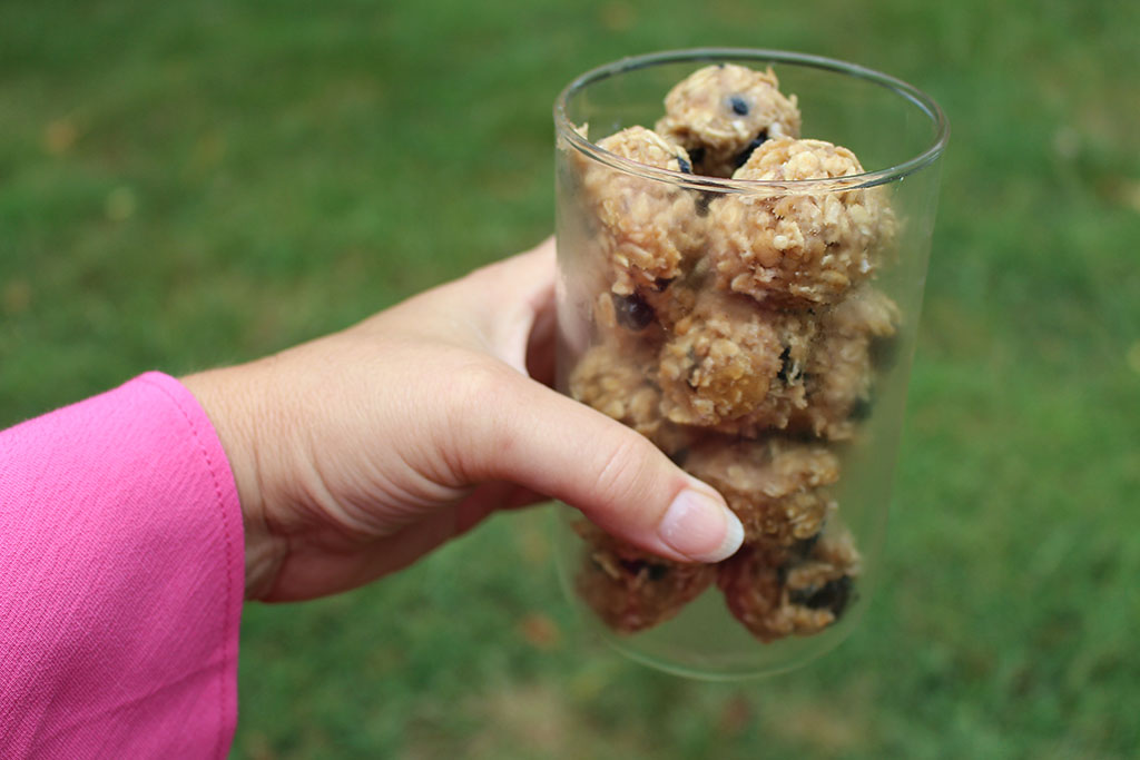 Scoby Energy Balls Scoby Energy Balls