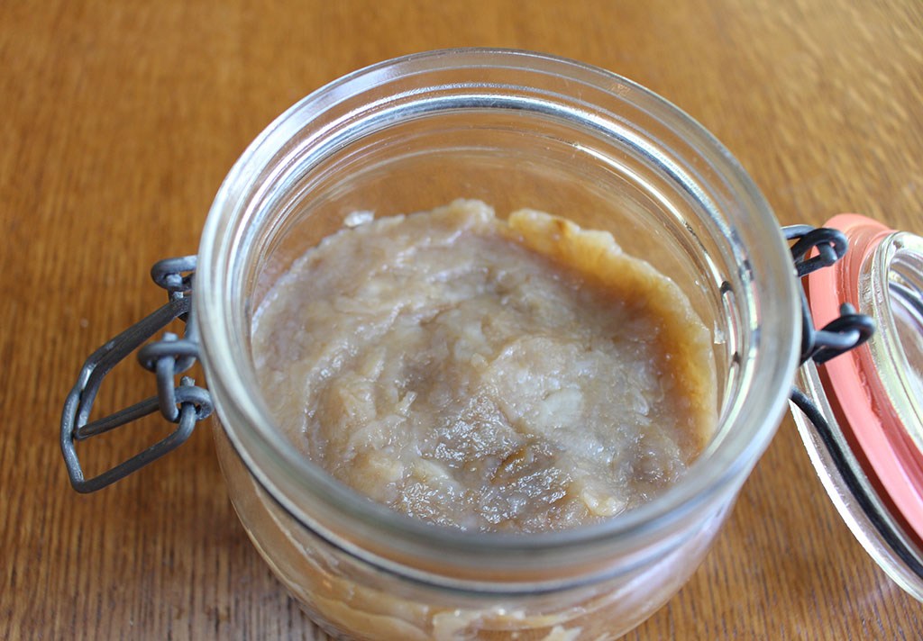 Scoby Puree