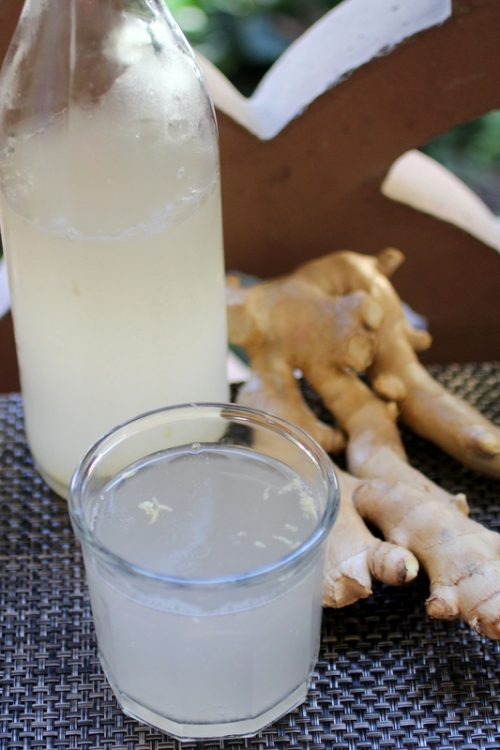 Ginger Bug Soda Cultured Food Life