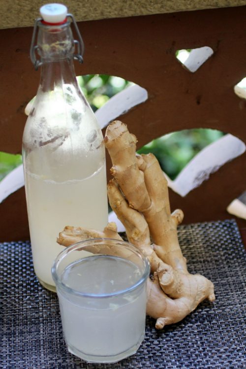 How to Make Ginger Soda Delicious Medicine for Your Body Cultured