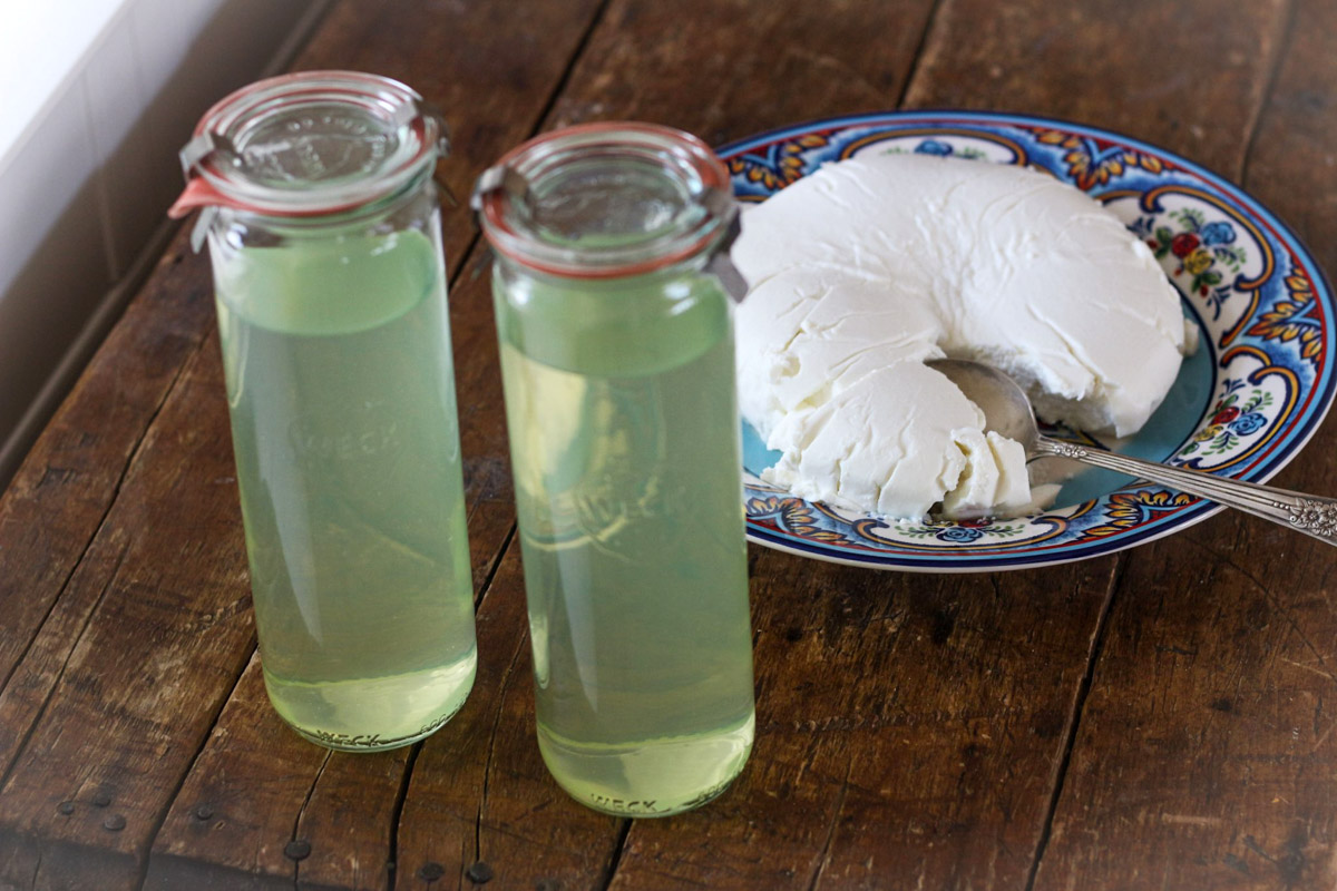 kefir-cheese-whey (1)-2 kefir-cheese-whey (1)-2