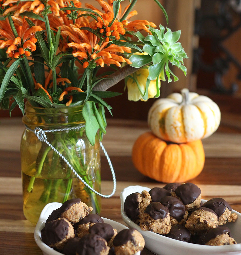 pumpkin-kefir-balls-3