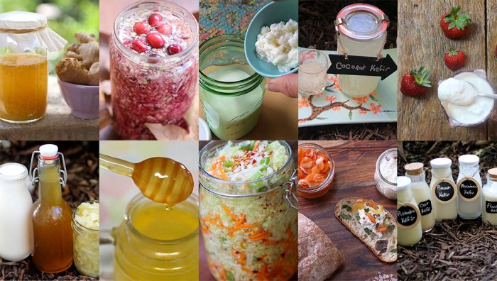 Best of Cultured Food Life 2016: Our Top Articles - Cultured Food Life