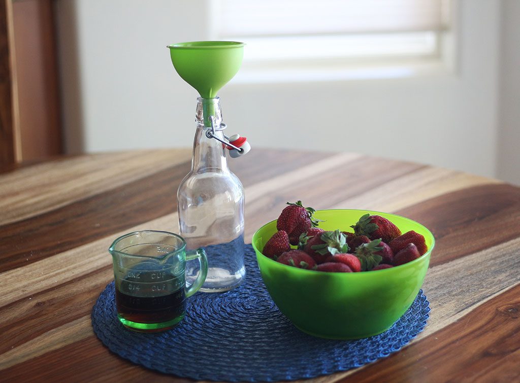 Water Kefir Home Fermentation Ultimate Starter Kit — Happy Gut Pro