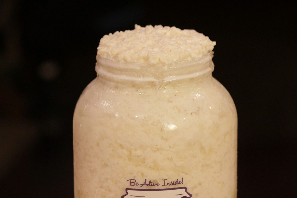 kefir grains