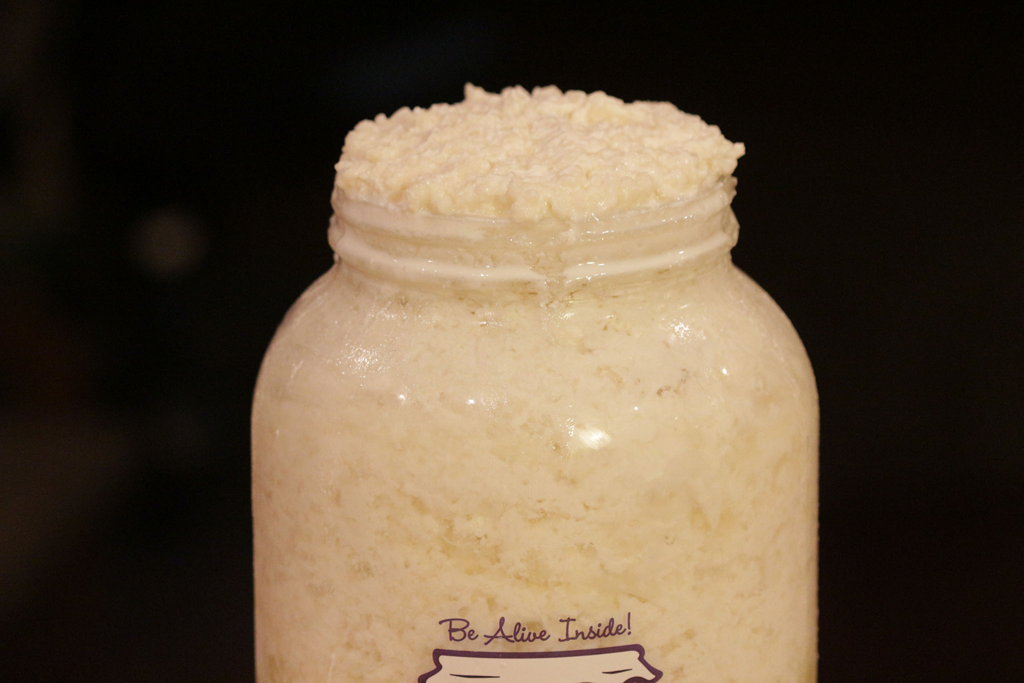 kefir grains kefir grains