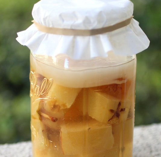 Apple scrap kombucha