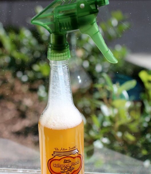 Kombucha Cleaner