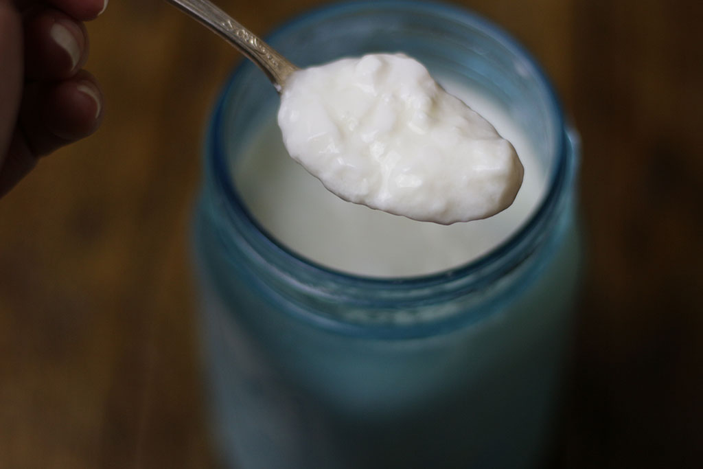 kefir kefir