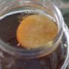 Donna's Live Kombucha Starter - Image 2