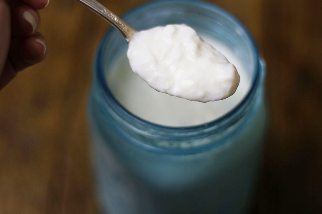 kefir blue jar kefir blue jar