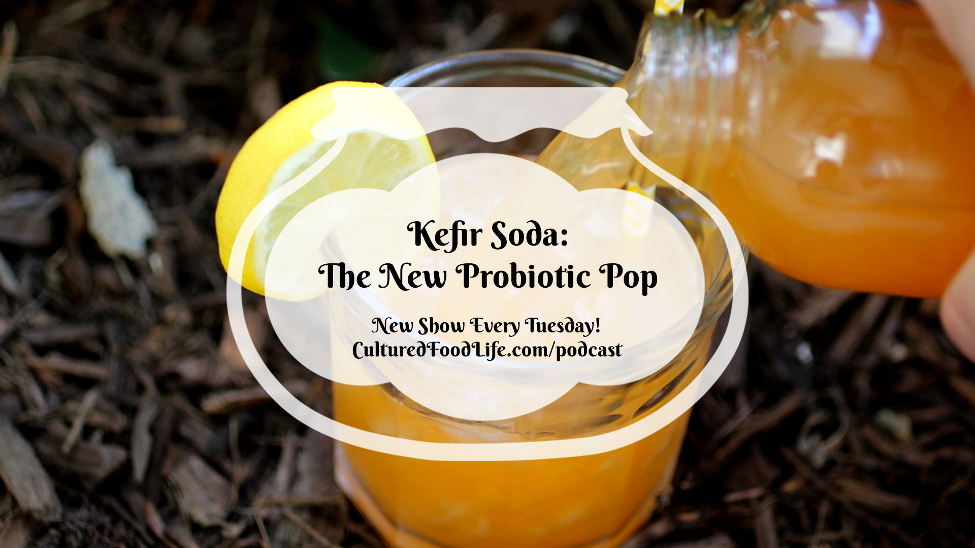 Episode 6 Kefir Soda The New Probiotic Pop Cultured Food Life