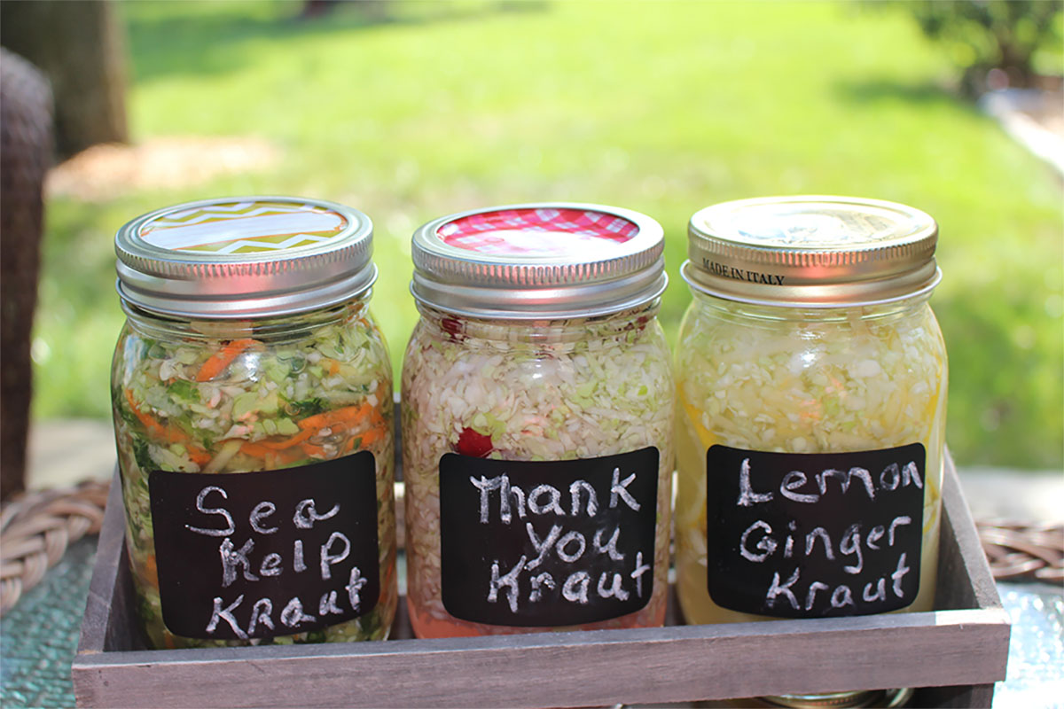 Kraut Trio Kraut Trio