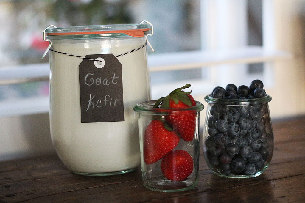 Goat's Milk Kefir