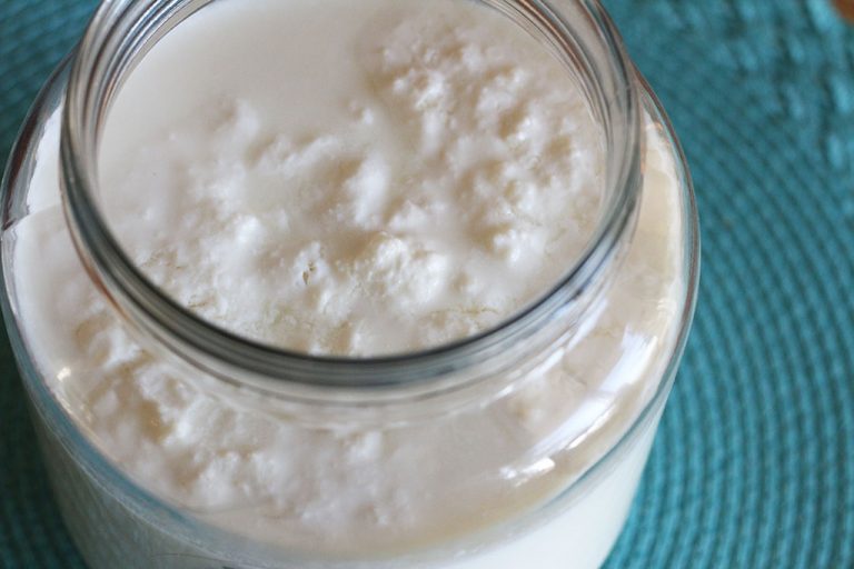 Winter Kefir Cultured Food Life