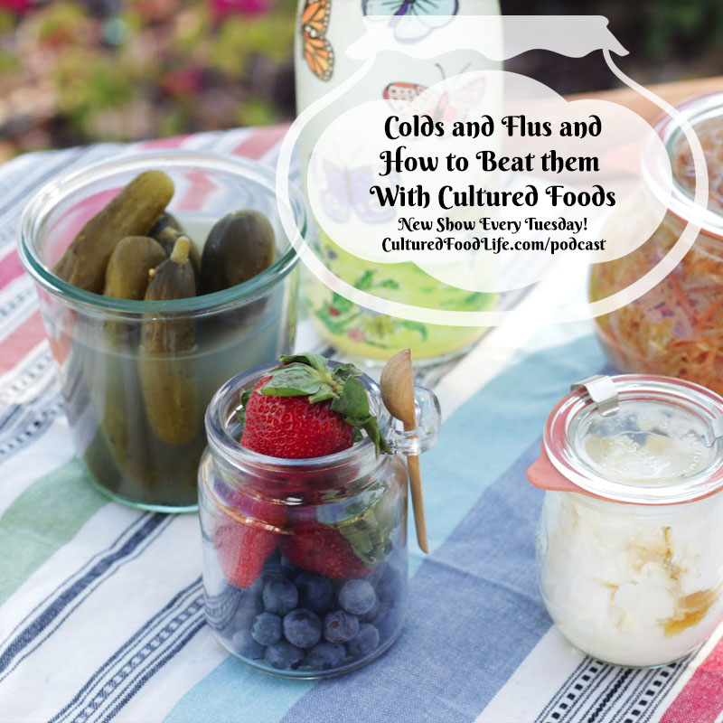 Cultured Food Life Podcast - Cultured Food Life