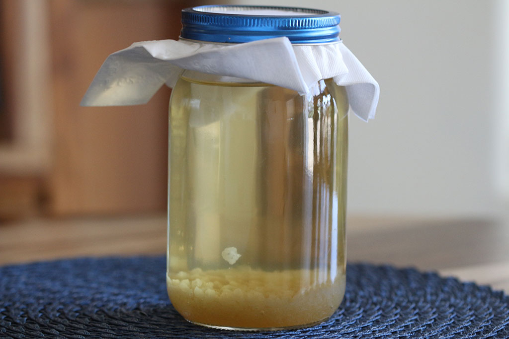 How to make Water Kefir, Gut Healthy Drinks