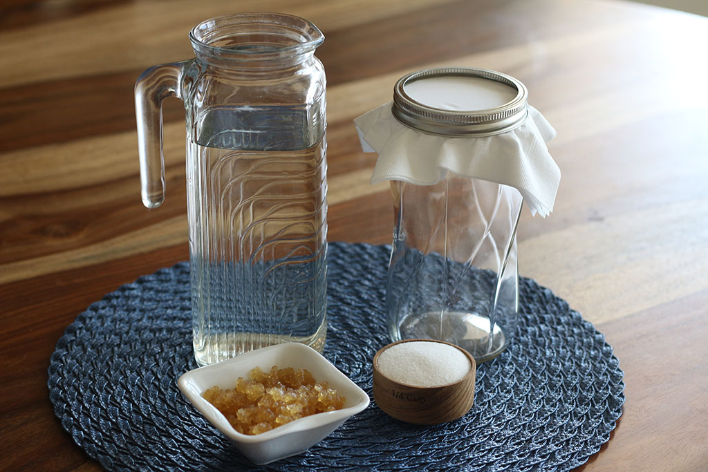 Water Kefir Making Kit - Pop Cultures