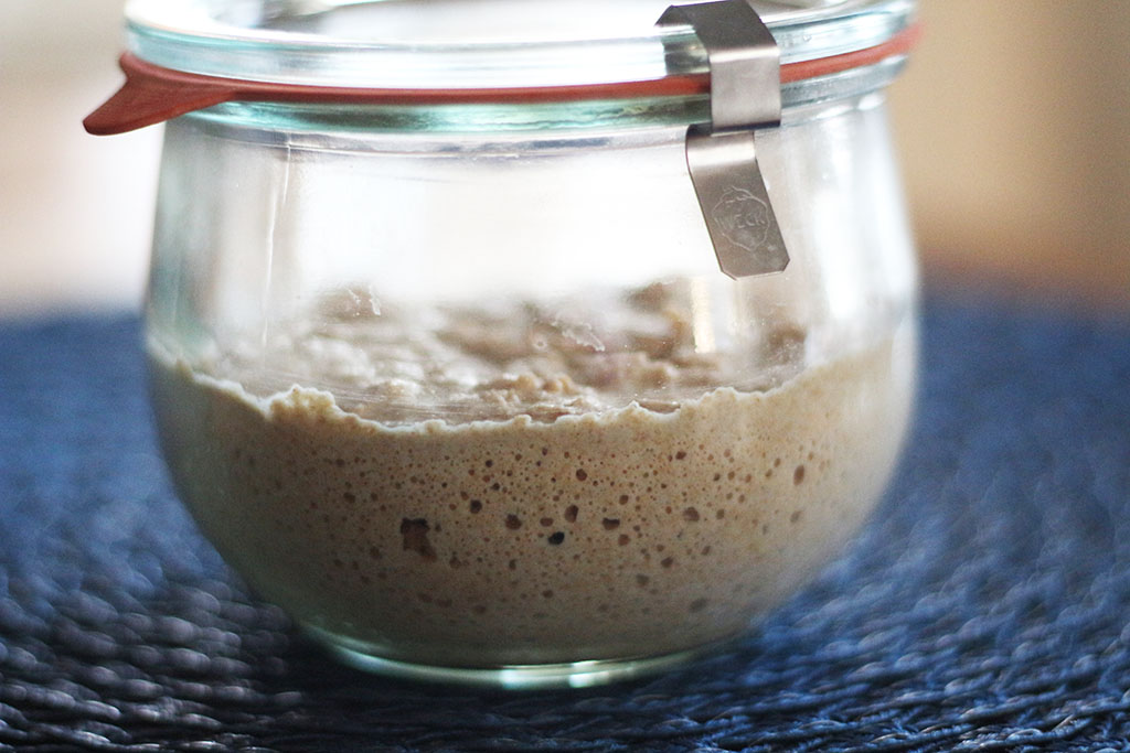 einkorn sourdough starter