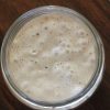 Donna's Live Einkorn Sourdough Starter - Image 2
