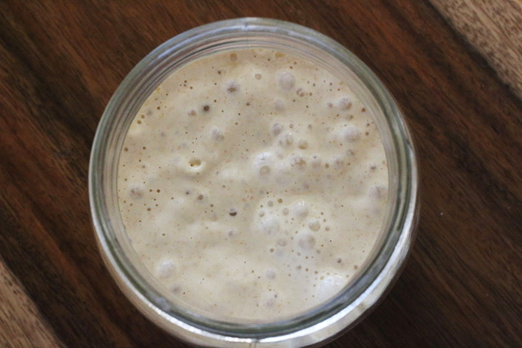 Einkorn Sourdough Starter - Boots & Hooves Homestead