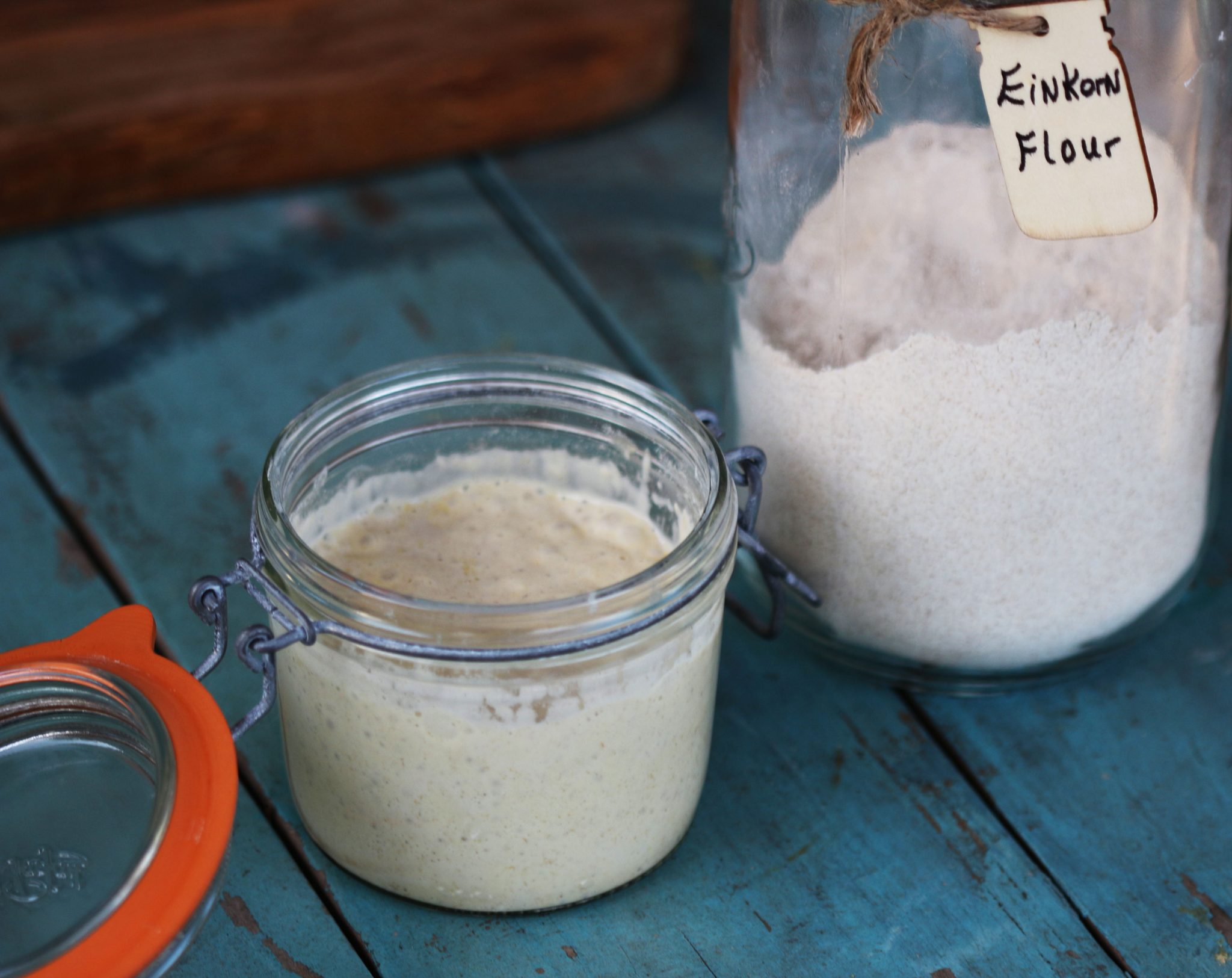 einkorn sourdough starter5