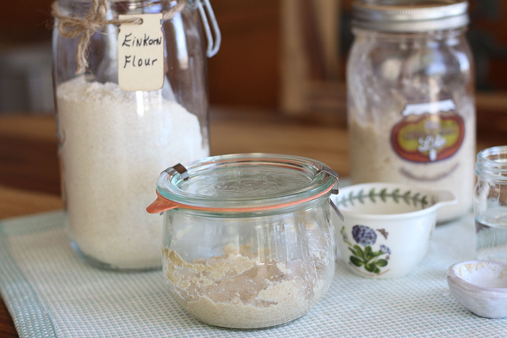 einkorn starter