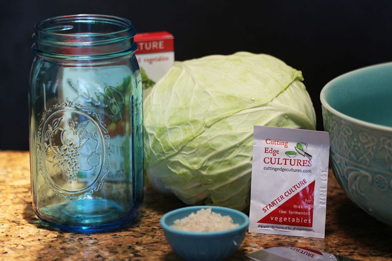 Vegetable Starter by Cutting Edge Cultures Cultured Food Life