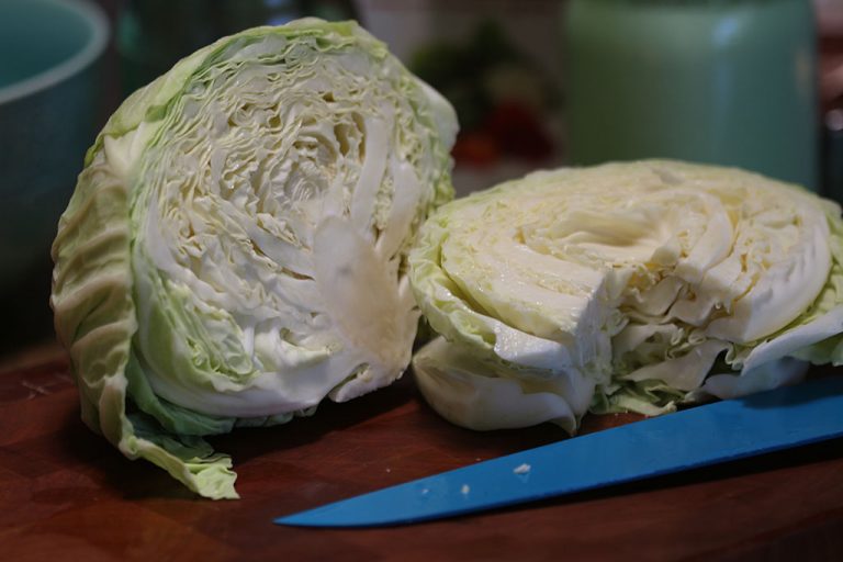 Vegetable Starter by Cutting Edge Cultures Cultured Food Life