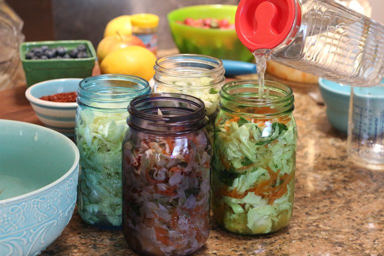 Vegetable Starter by Cutting Edge Cultures Cultured Food Life