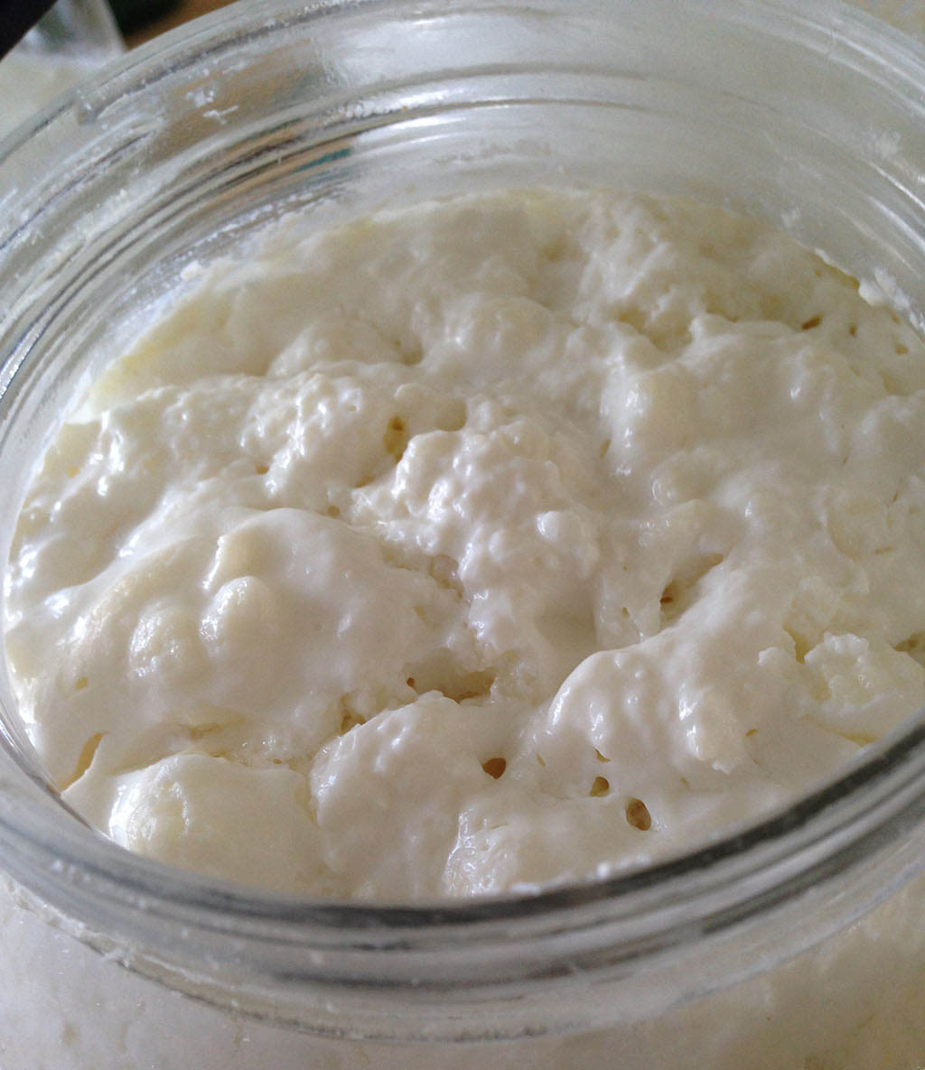 Milk Kefir FAQs - Cultured Food Life Milk Kefir FAQs - Cultured Food Life