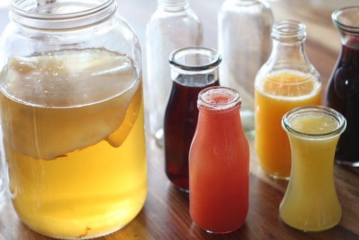 Donna's Live Kombucha Starter - Image 3