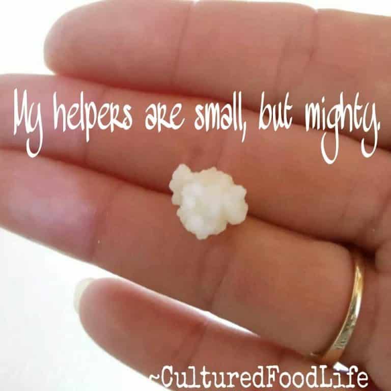 7 Ways to Use Your Extra Kefir Grains Cultured Food Life