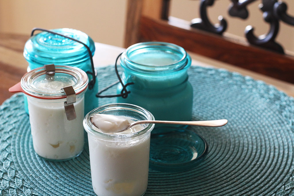 kefir pots